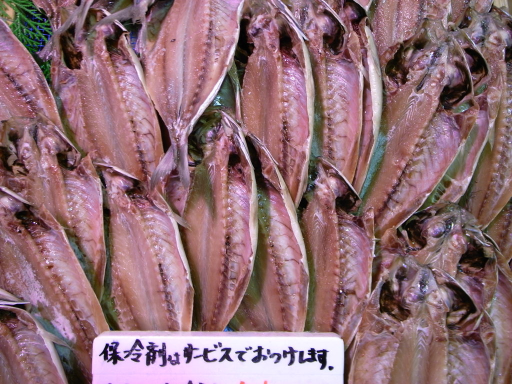 ひもの