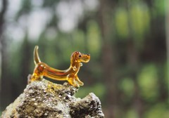 ラッキー岩に登る！