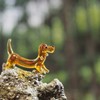 ラッキー岩に登る！