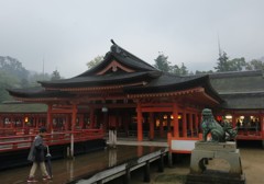 雨の厳島神社