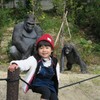 孫とゴリラ
