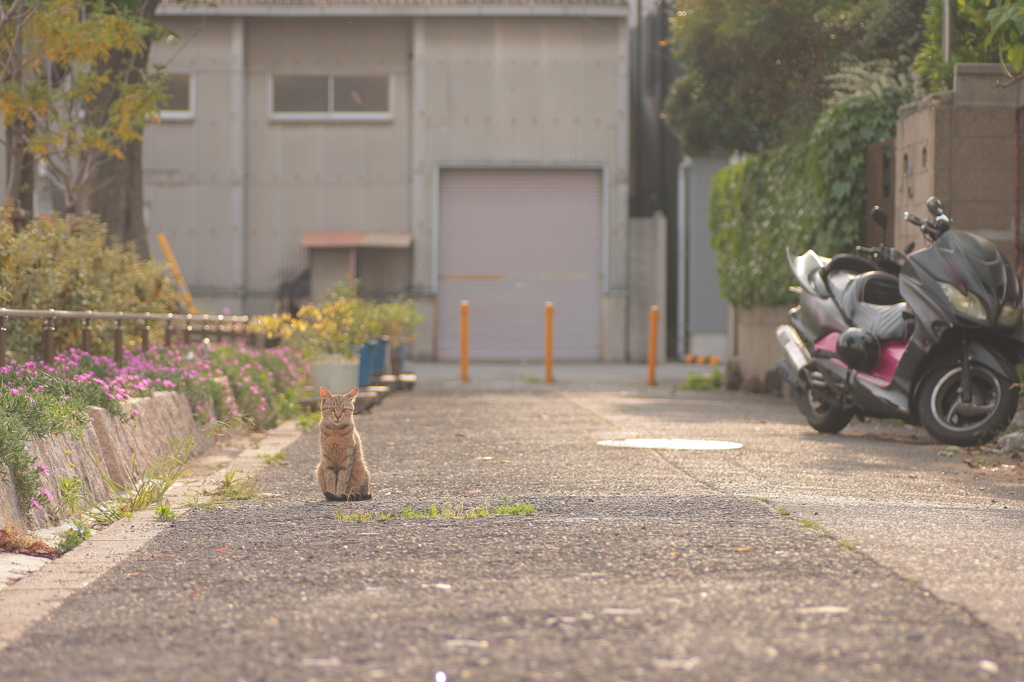 PHOTO－０１２５