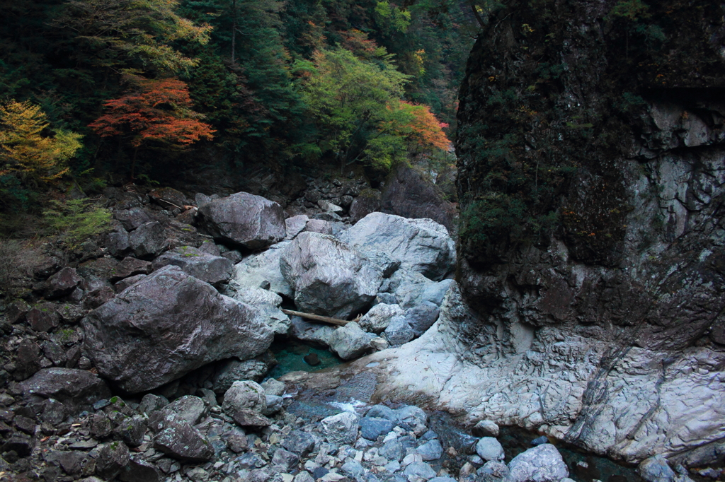 PHOTO－0252