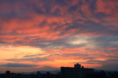 PHOTO－0139