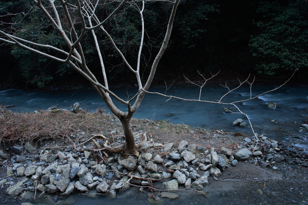 PHOTO－０１１３