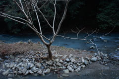 PHOTO－０１１３
