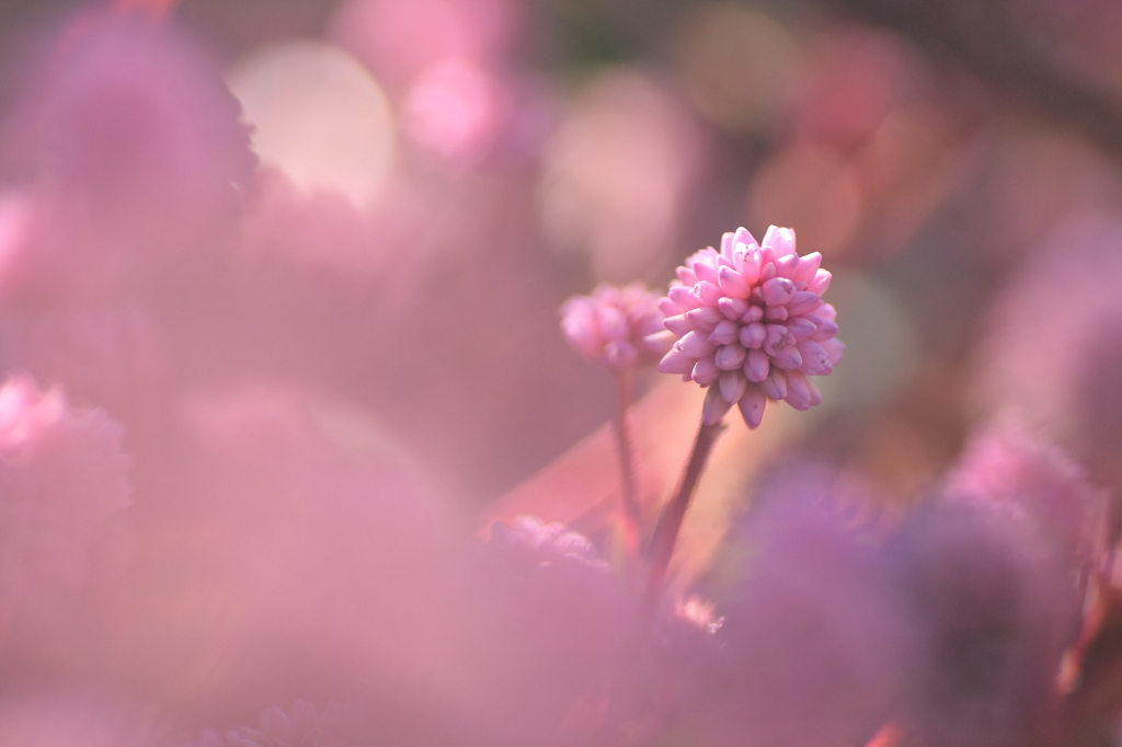 PHOTO－００６７
