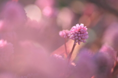 PHOTO－００６７