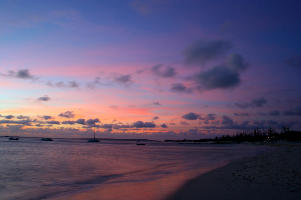 PHOTO－００１２