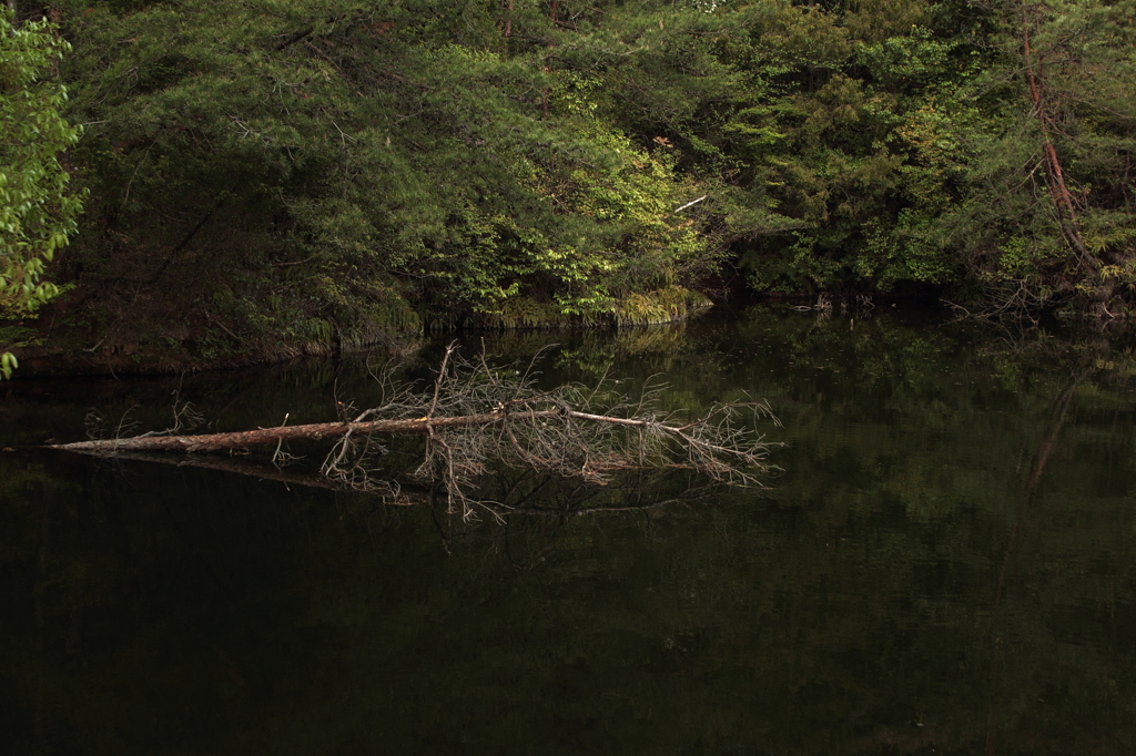PHOTO－0214
