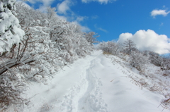 冬の伊吹山