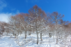 冬の伊吹山