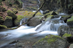 PHOTO－０１１４