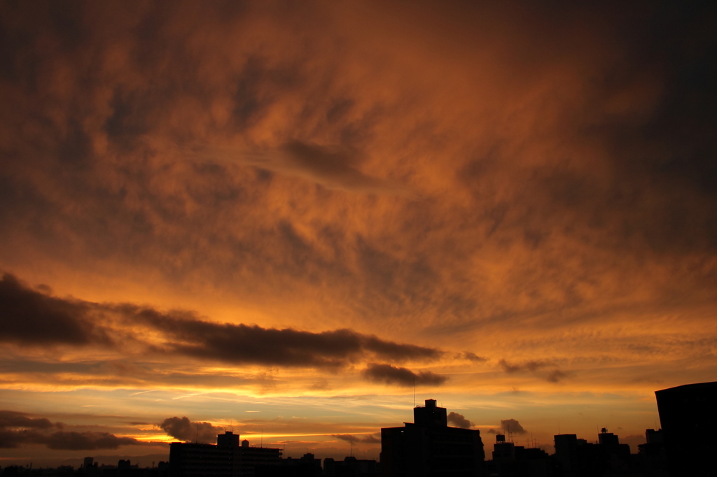 PHOTO－００４０