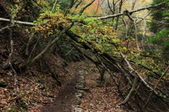 PHOTO－００５５