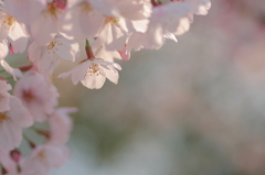 PHOTO－０１０３