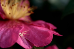 PHOTO－００６９