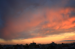 PHOTO－0137