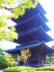東寺