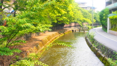 白川
