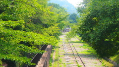 南禅寺に行く途中