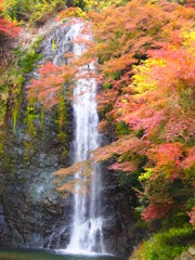 箕面大滝