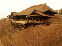 またまた京都です。