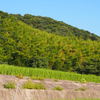 練習　夏の田舎２