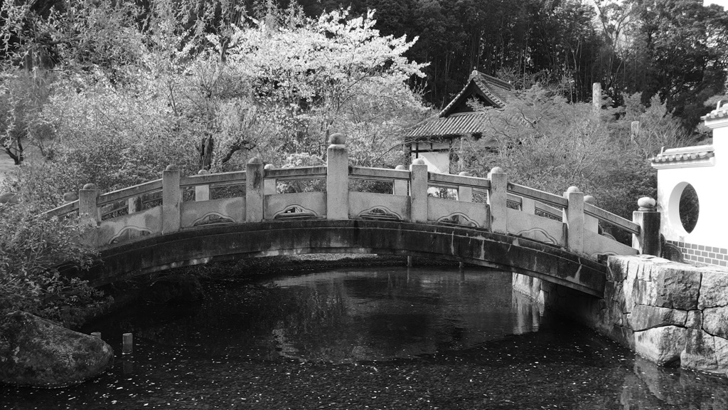 橋