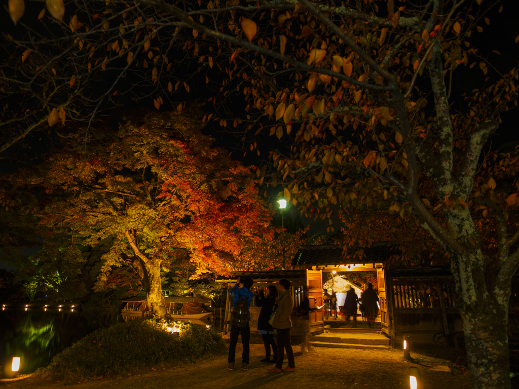 紅葉の入り口