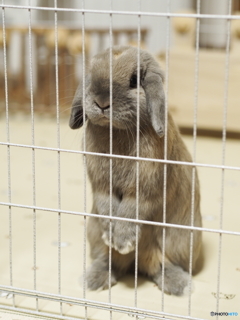 外に出てみたいなぁ