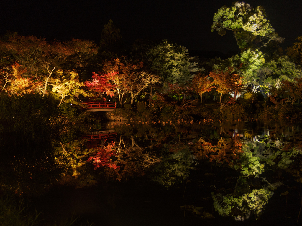大覚寺　夜間特別拝観にて