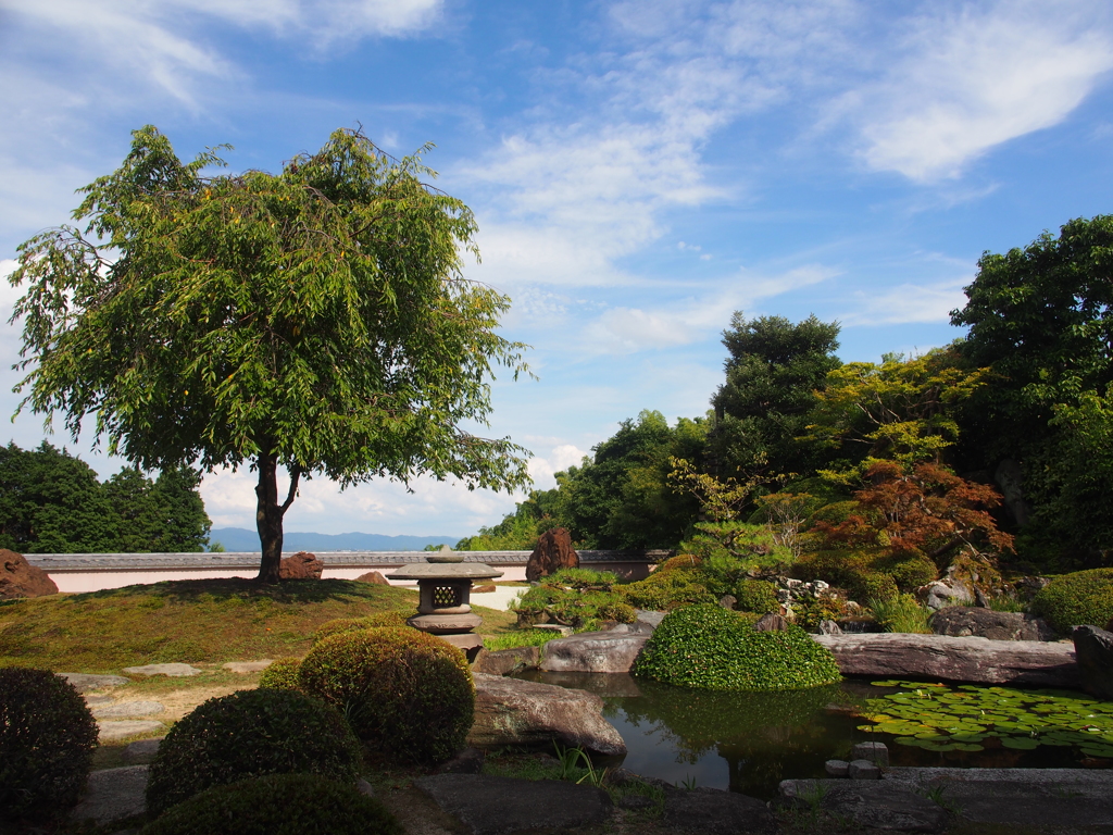 快晴の庭園