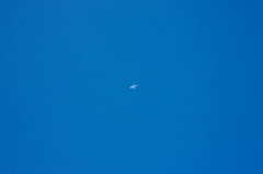 飛行機