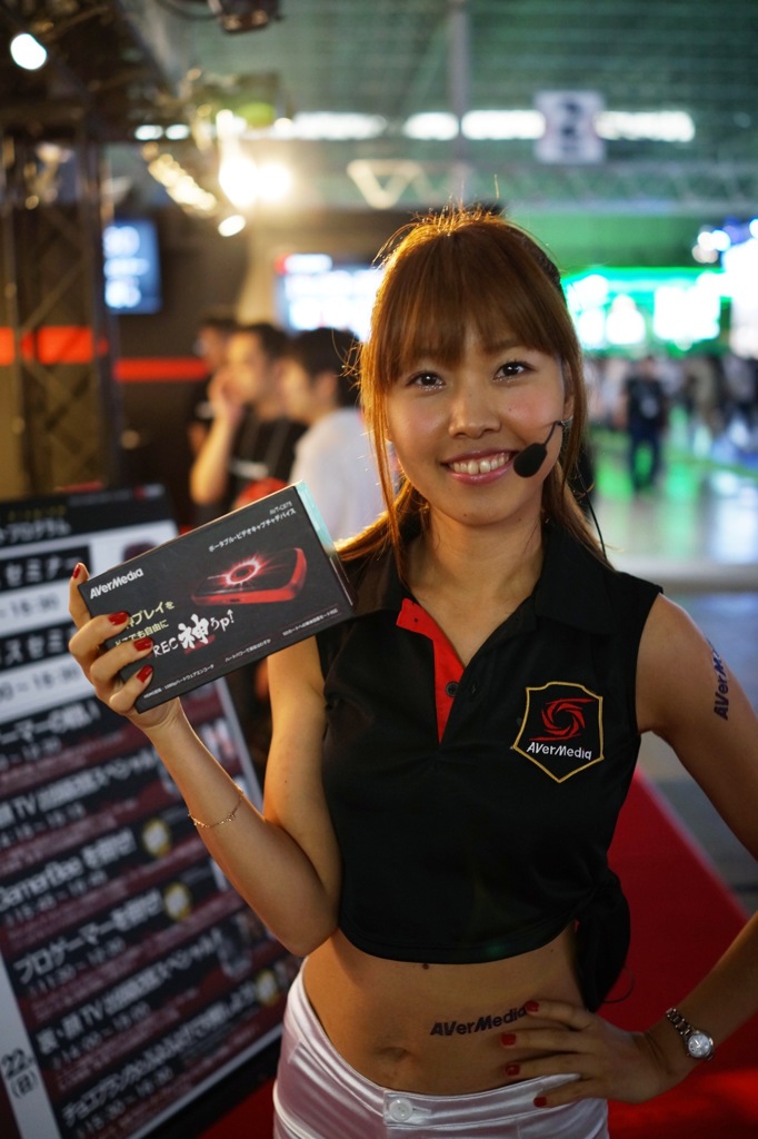 2013 TGS 04