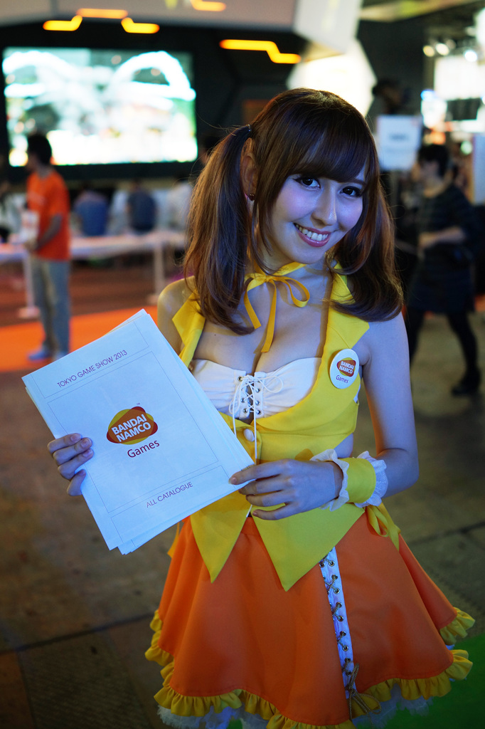 2013 TGS 11