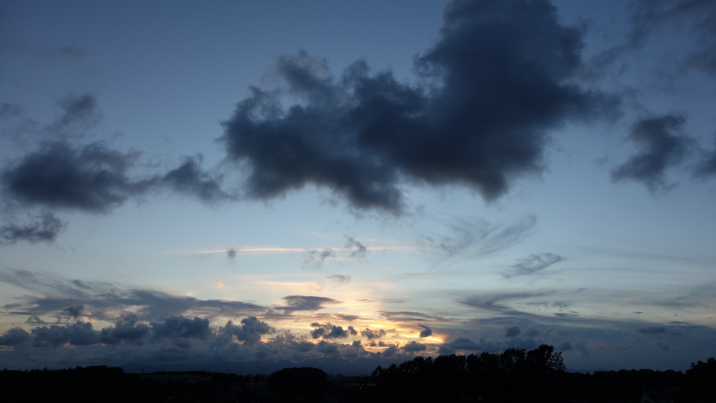DSC03416