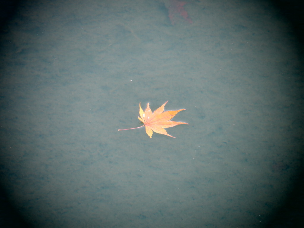 浮かぶ