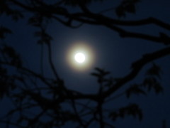 IMG_2663