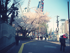 2009年