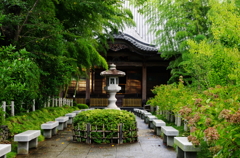 IMGP2521
