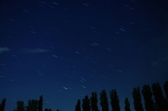 IMGP20120808
