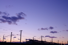 IMGP2895