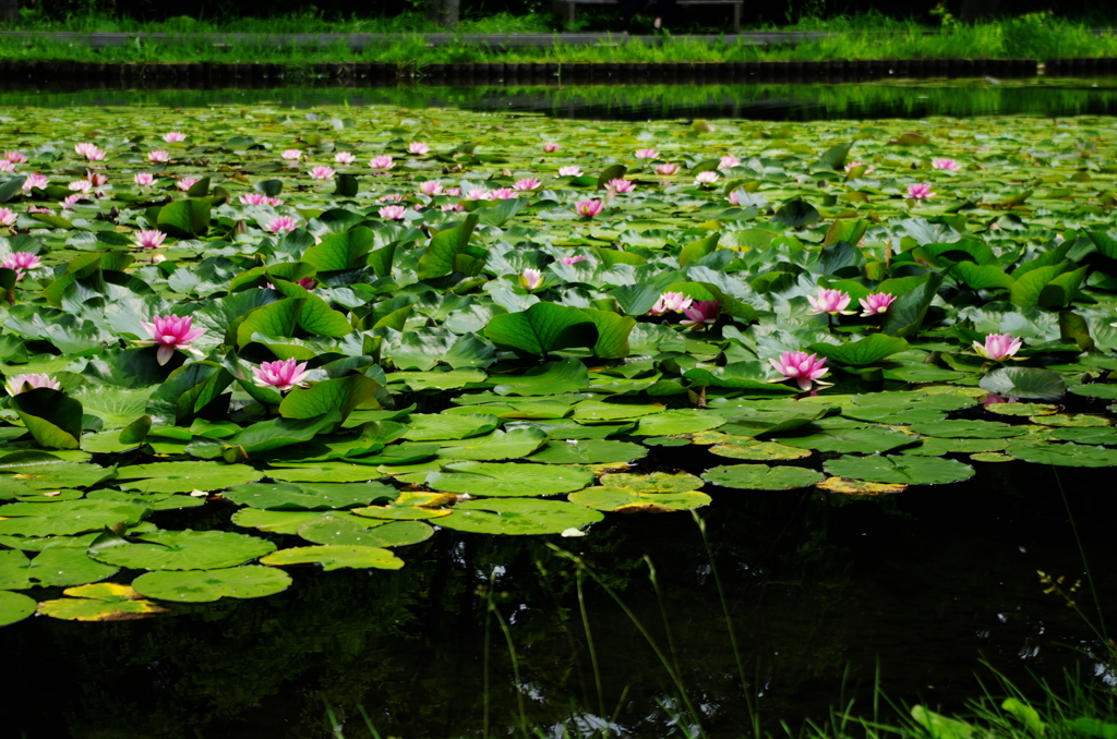 IMGP0877