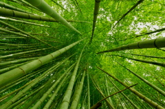 共に育つ