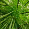 共に育つ