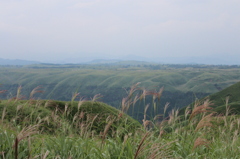 無題②
