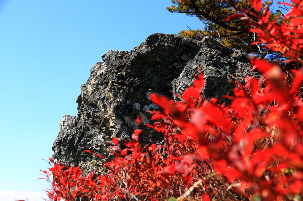 紅と岩