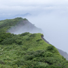 大山　山頂付近から