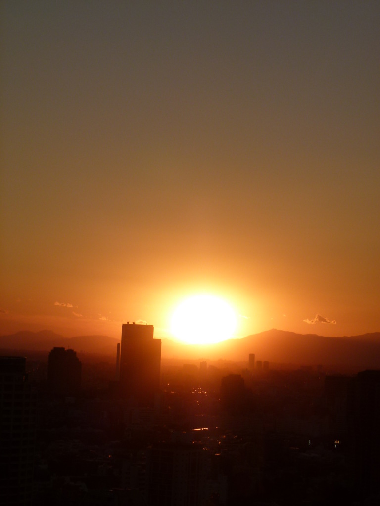 P1000478